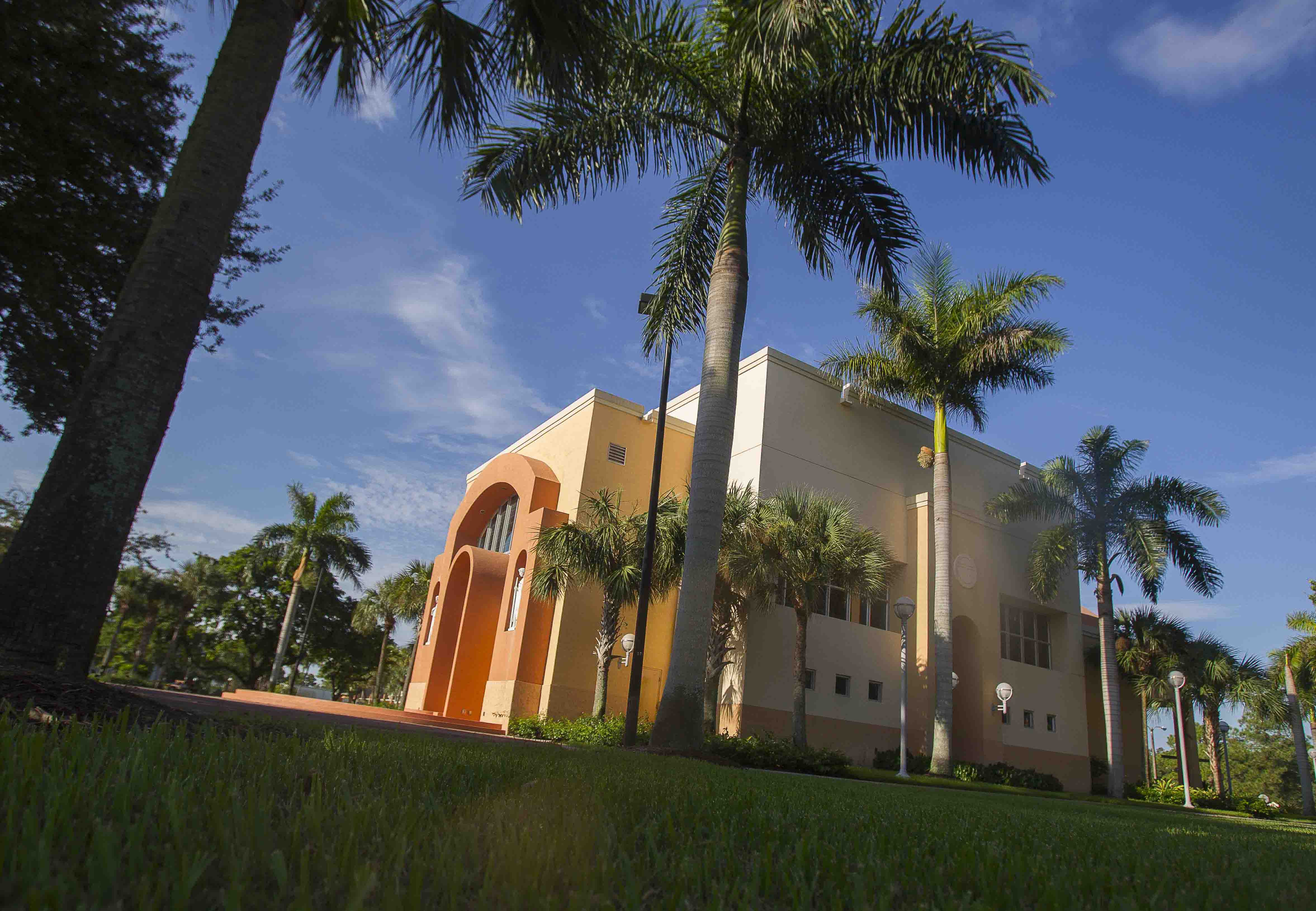 palm trees on campus