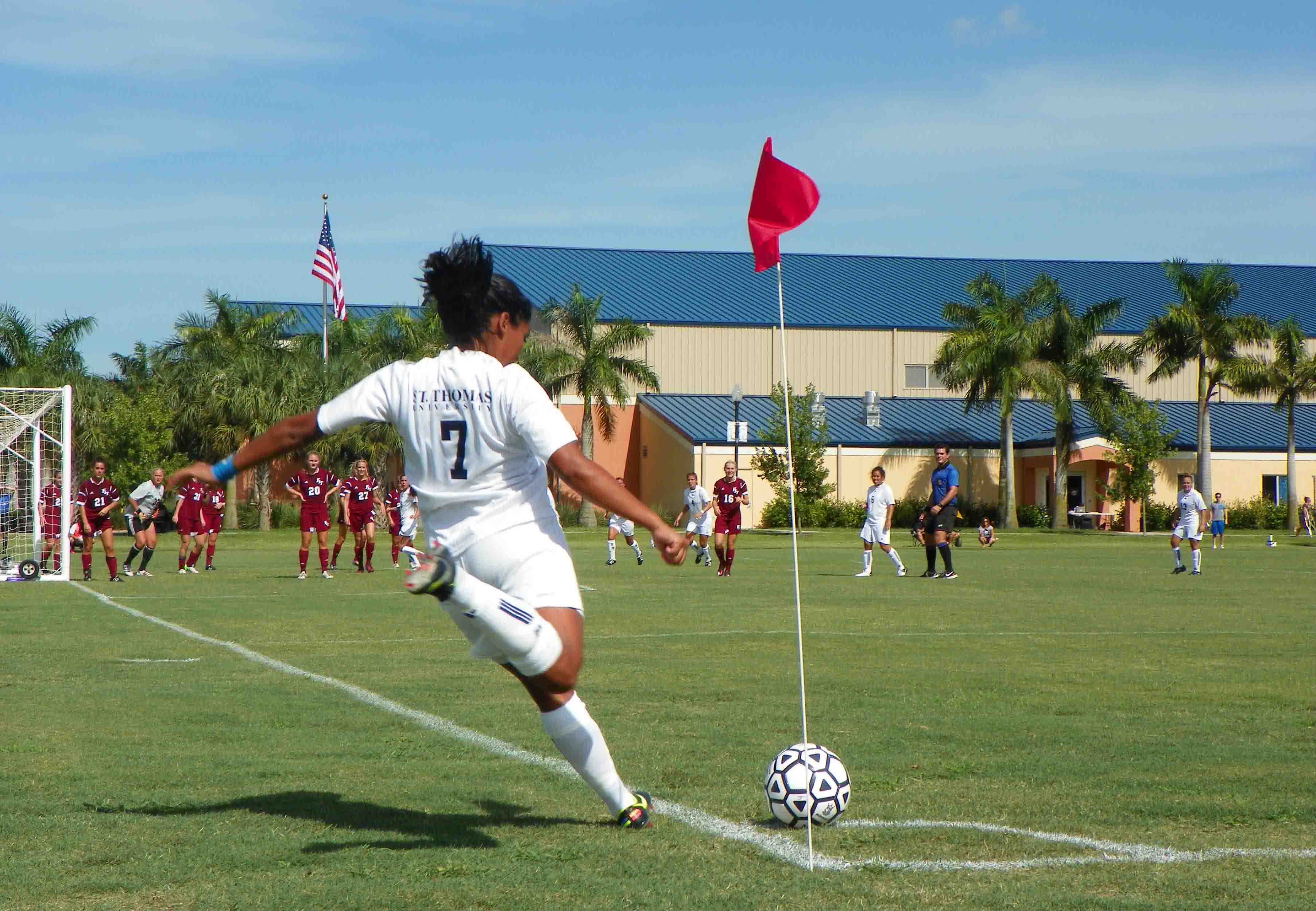Soccer game