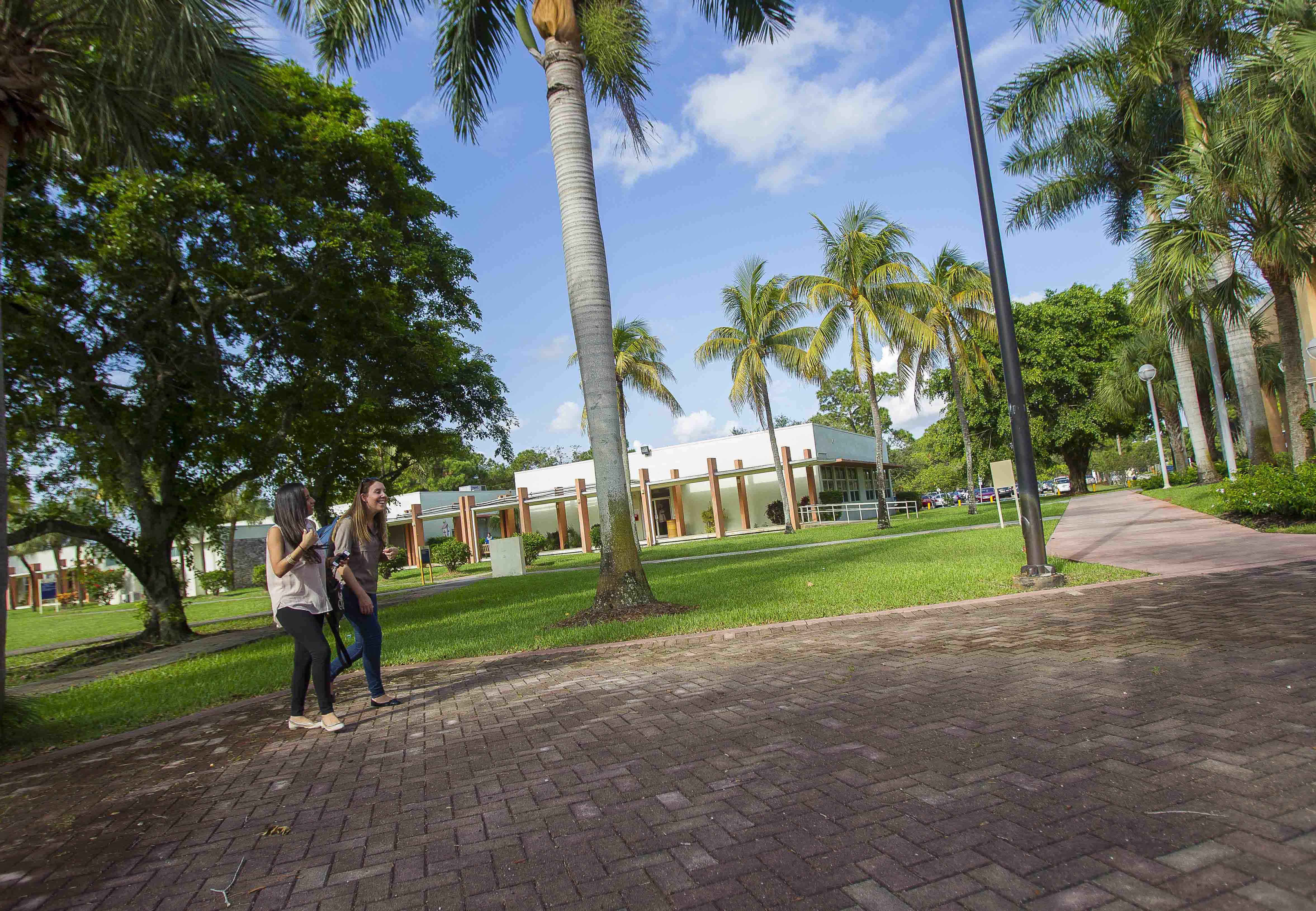 stroll on campus